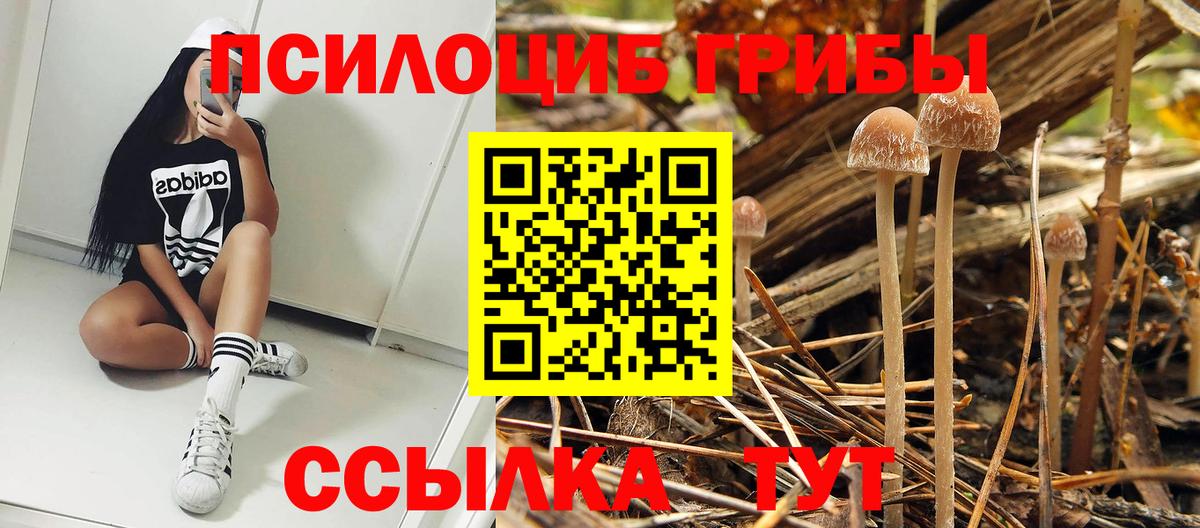 Галлюциногенные грибы мицелий Кимовск