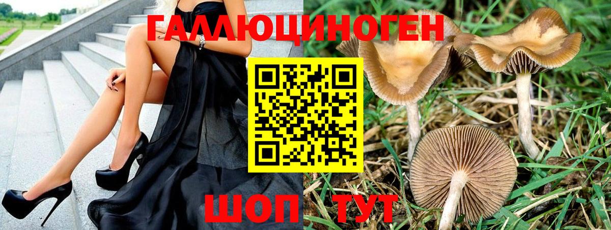 Галлюциногенные грибы MAGIC MUSHROOMS  Вход с VPN  Галлюциногенные грибы Cubensis  Кимовск 